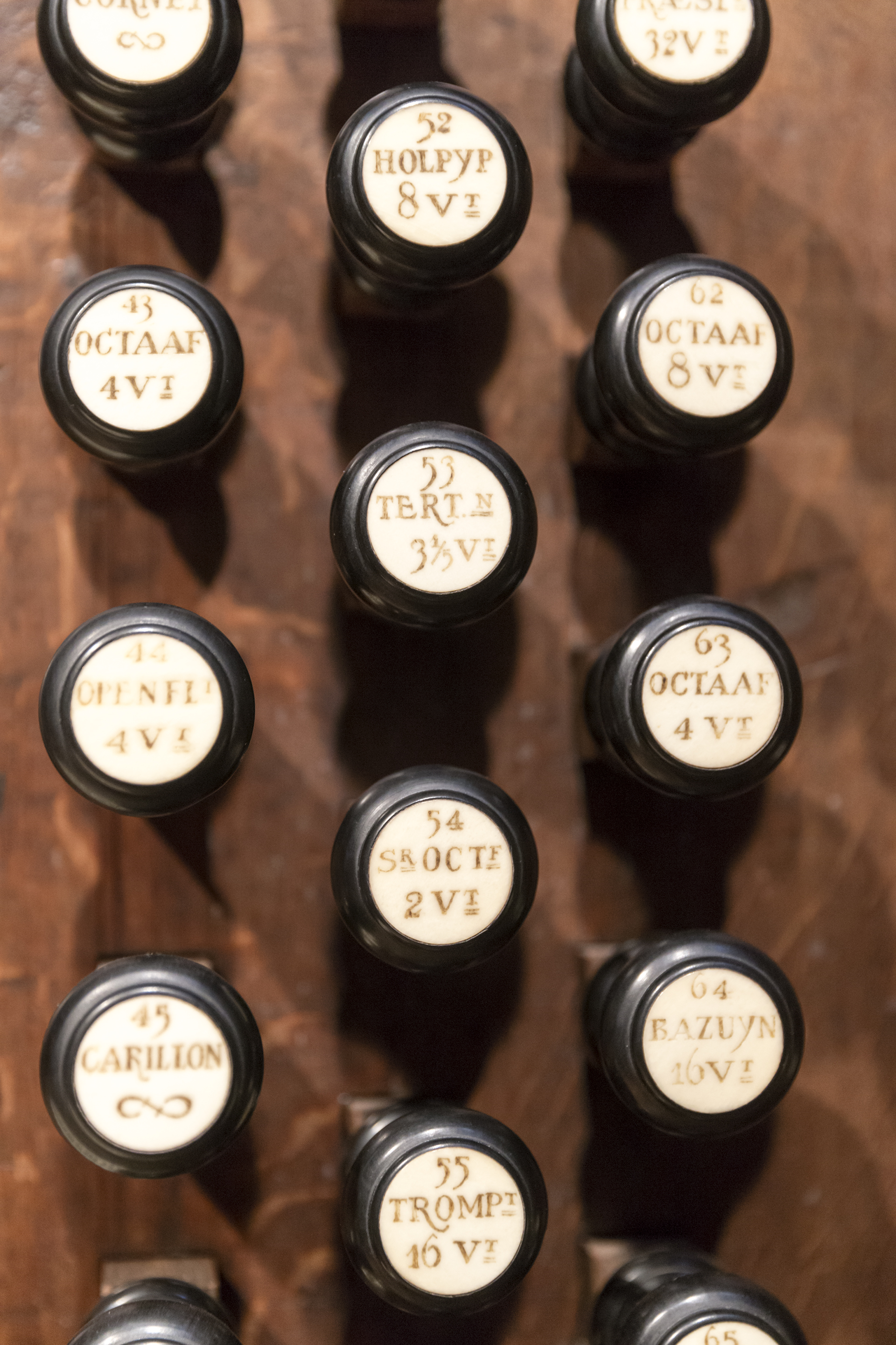 Registerknoppen foto: Marc Bolsius_E0X6447.tif