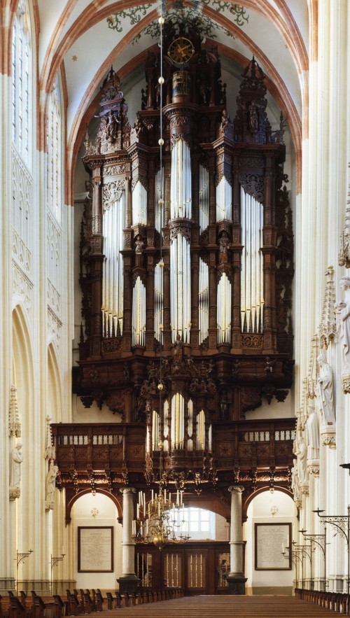 Orgel Sint-Janskathedraal 's-Hertogenbosch foto: Ernst van Mackelenbergh